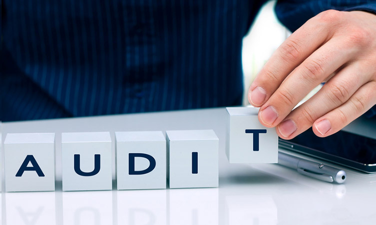 audit services in uae